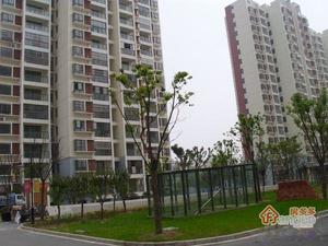 金筑家园小区图片