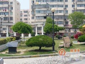 龙港花苑小区图片