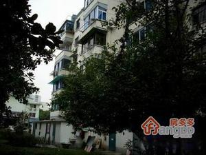朱家庄新村小区图片