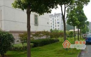 龙西新村小区图片