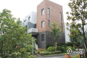 81栋长岛小区图片