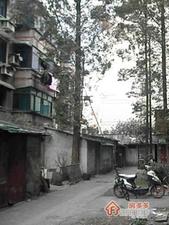 娄门路小区小区图片