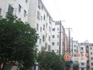 公交一村小区图片