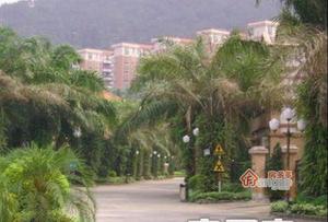 帝豪花园小区图片