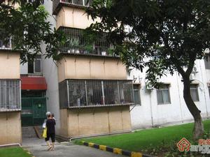 宝安74区住宅楼小区图片