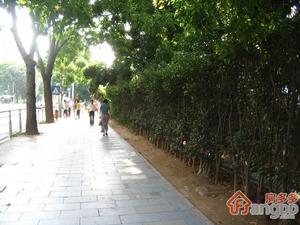 众孚花园小区图片