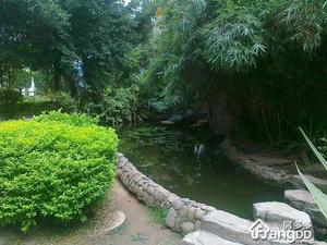 星光之约花园小区图片