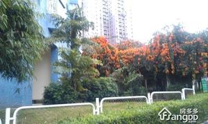 海景花园(华侨城)小区图片