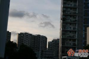 香蜜湖水榭花都一期小区图片