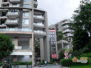 桐林花园小区图片
