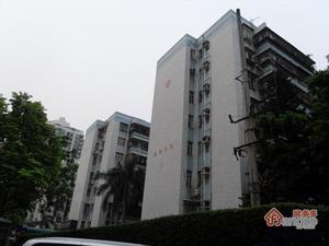锦洲综合楼小区图片