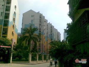 碧波楼小区图片