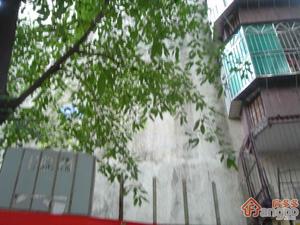 布心花园二区小区图片