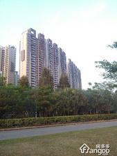 楼村花园小区图片