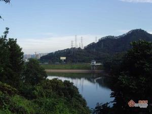 金湖山庄别墅小区图片