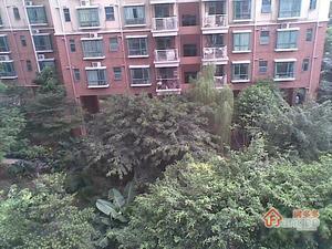 丽沙花都小区图片