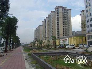 新桥统建楼小区图片