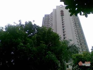 外贸大院小区图片