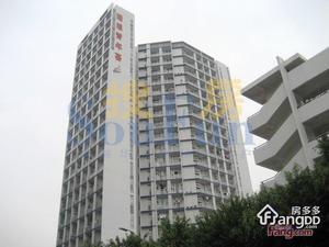 理想青年荟小区图片