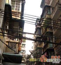晓港东马路大院小区图片
