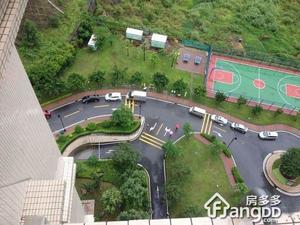 南湖半山东苑小区图片