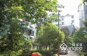 新桥路小区图片
