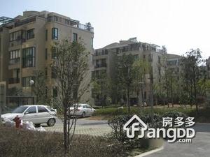 华鼎豪园小区图片