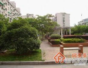 石桥路小区小区图片