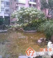 嘉富广场小区图片