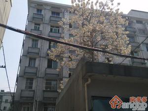 方家弄小区小区图片
