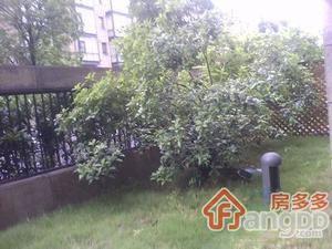 西湖捌号公馆小区图片