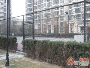 东田青城嘉园小区图片