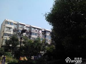 金陵村小区图片
