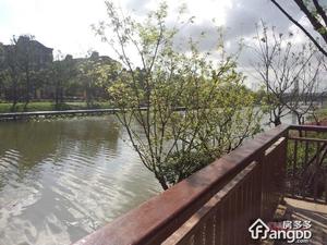 河畔艺墅小区图片