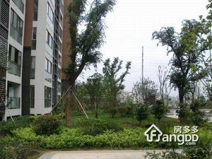 凤凰和熙一期小区图片