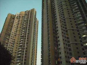 盛世鹏程花园（福田）小区图片