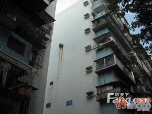 香蜜湖渡假村家属楼小区图片