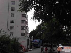 深南中学住宅楼小区图片