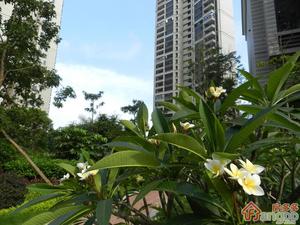东埔福苑小区图片