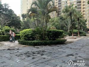 星海名城三期/沁园小区图片