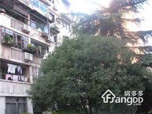 打虎山路84弄小区图片
