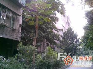云苑二街小区图片