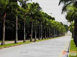 康定路88弄小区图片