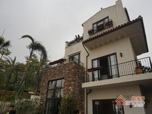 天美小岛小区图片