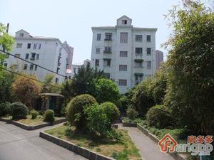 竹园新村(浦东)小区图片