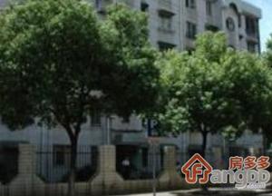 莲安东路243弄小区图片