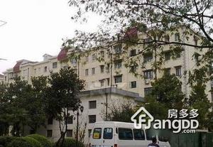 浦东大道651弄小区图片