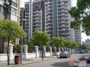 悉尼星光小区图片