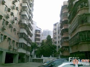 宝龙苑小区图片