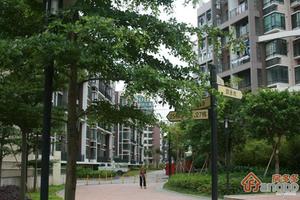 华隆园小区图片